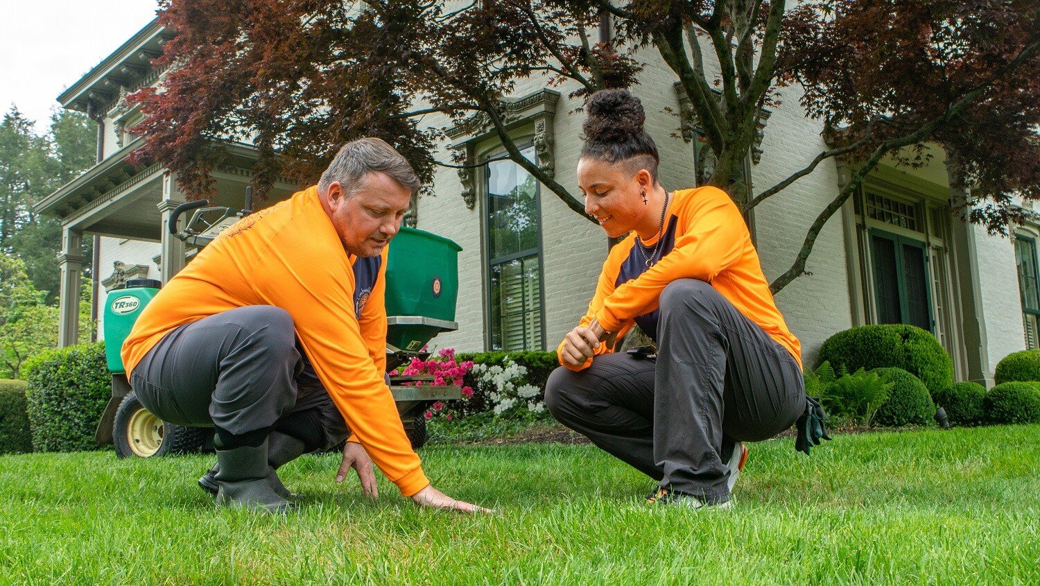 5 Most Invasive Weeds in Kentucky and How to Get Rid of Them